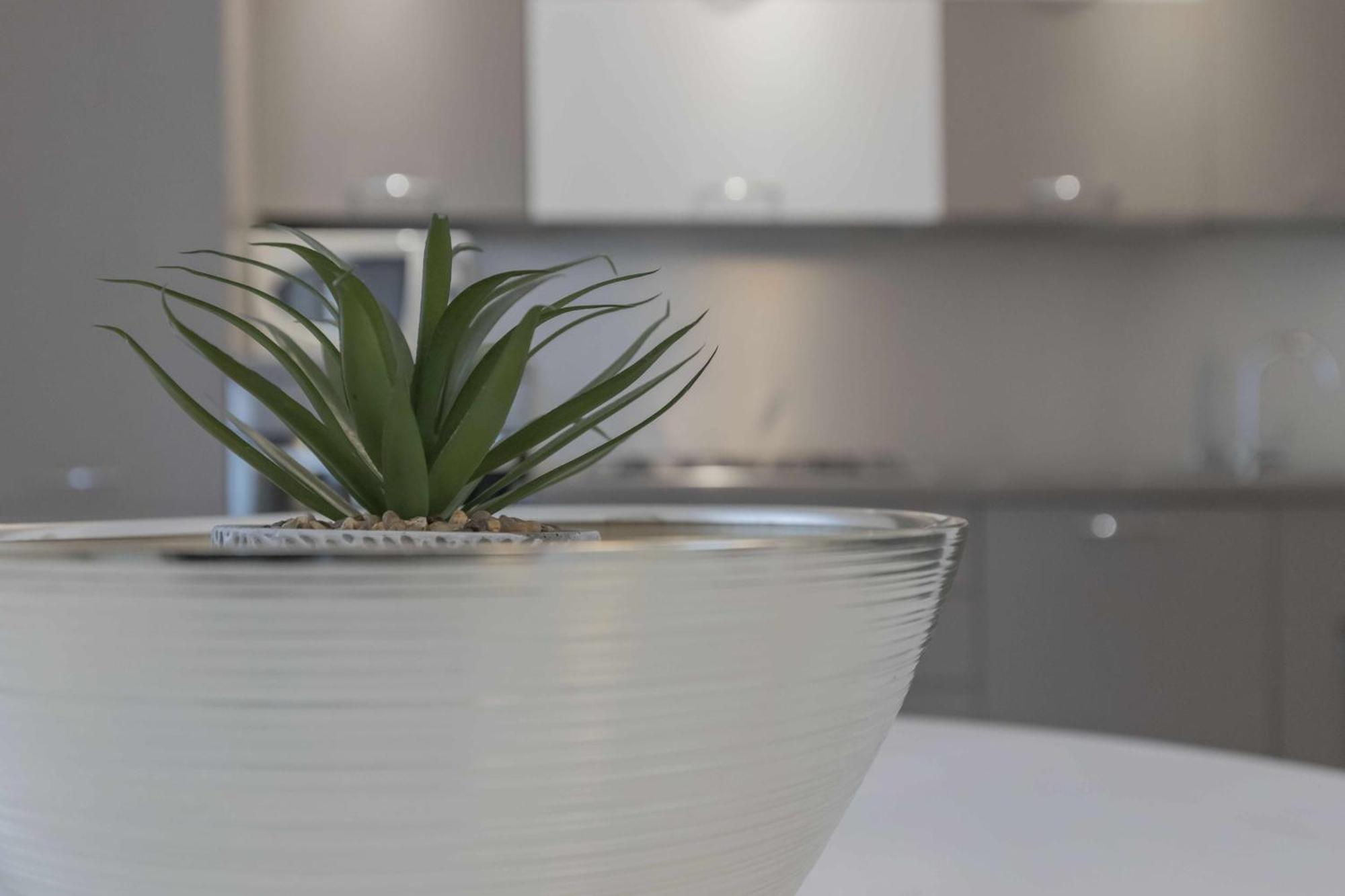 Alba House Malpensa Airport Vakantiehuis Gallarate
