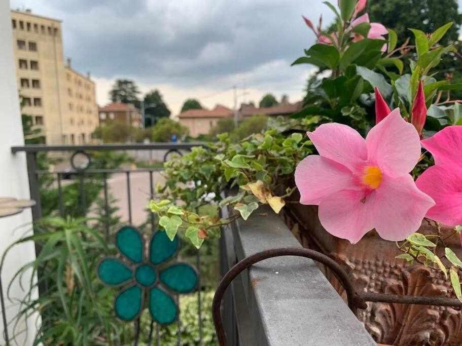 Vakantiehuis Alba House Malpensa Airport Gallarate
